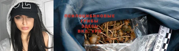 бошки Верхнеуральск