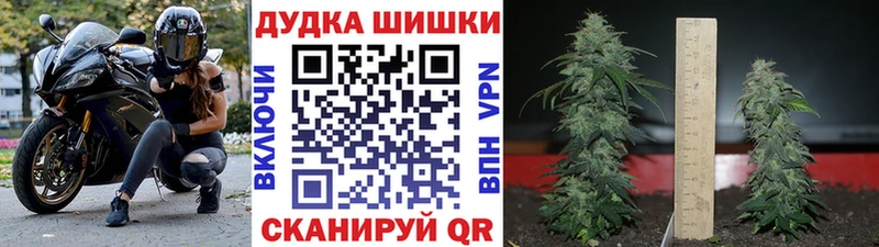 Купить  Киреевск  Бошки марихуана семена 